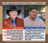Garcia, Dent share views on representation and rural challenges