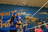 PREP VOLLEYBALL ROUNDUP: Clark Fork, Sandpoint break out the brooms