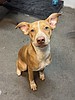 Meet Sunkiss