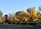 WEATHER  Oct. 14 to 20, 2026
