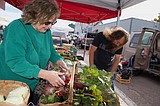 Polson Farmers Market takes break after productive season