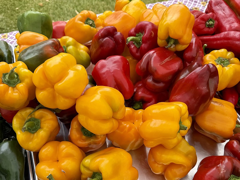 Peppers fill a bin at the Moses Lake Farmers Market last weekend.