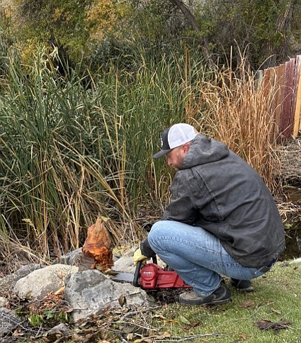 Joel Bodenman levels stumps with a chainsaw.