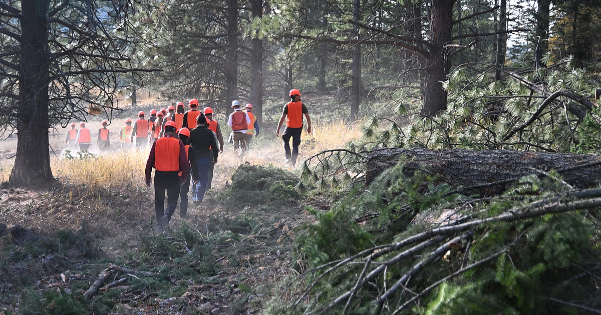 Tech highlighted in chamber-sponsored Flathead Valley timber tour
