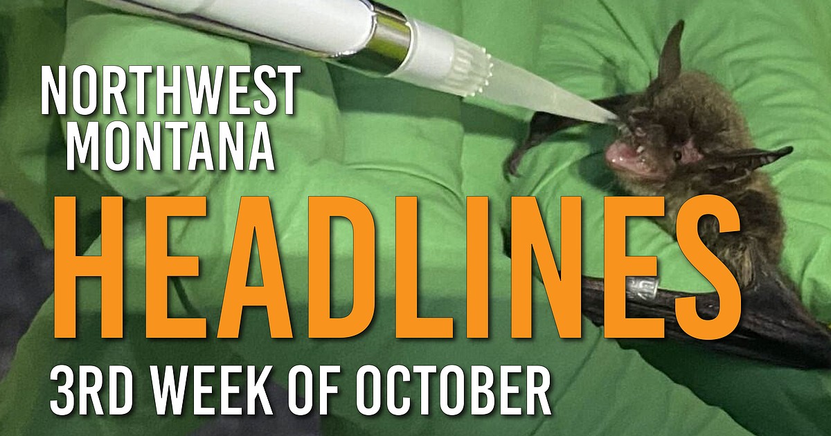 Headlines: White nose syndrome in Glacier Park, maintenance cuts in national parks, big game hunting begins, Whitefish snowboarder premieres film, Bigfork Food Bank mobile service