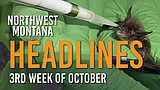 Headlines: White nose syndrome in Glacier Park, maintenance cuts in national parks, big game hunting begins, Whitefish snowboarder premieres film, Bigfork Food Bank mobile service