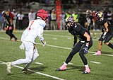 Gridiron Roundup – week eight