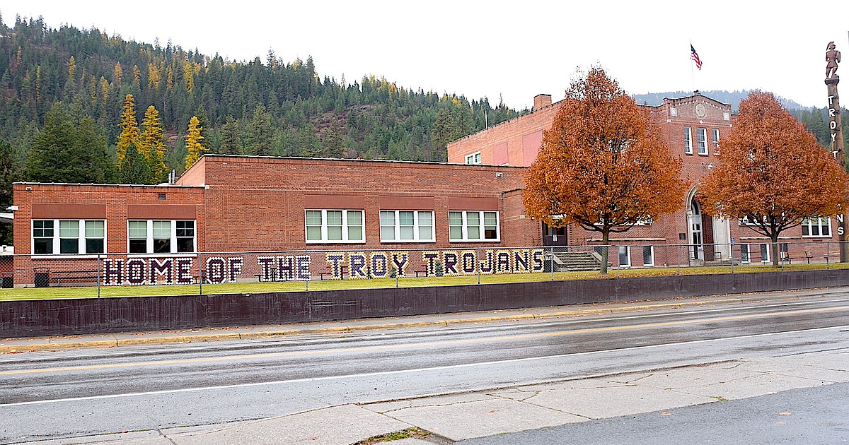 Troy student taken into custody after alleged school-shooting threat